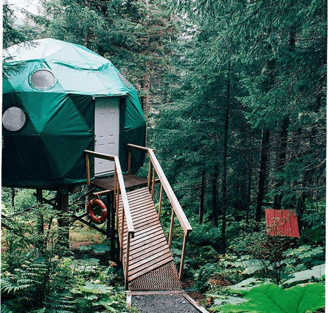 Treehouse in forest